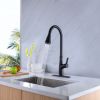 Black Kitchen Faucet with Pull Down Sprayer Single Handle Pull Out Kitchen Sink Faucet RKF9608MB